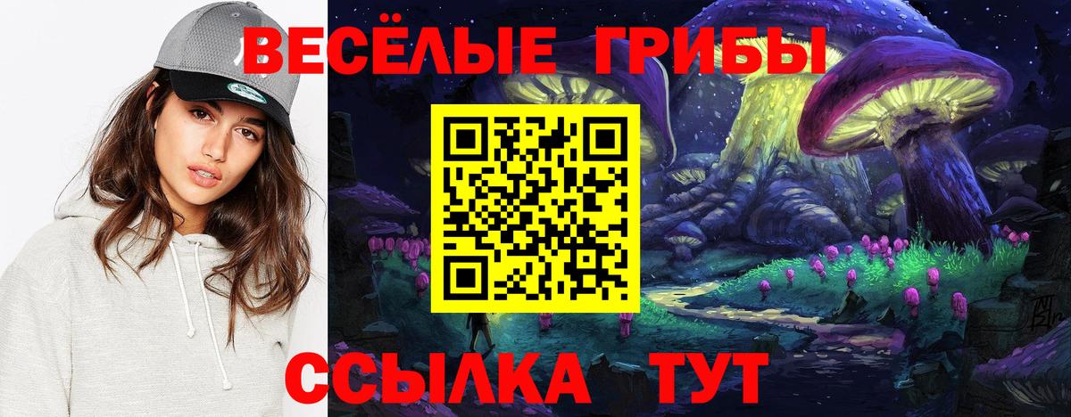 Псилоцибиновые грибы ЛСД Елец
