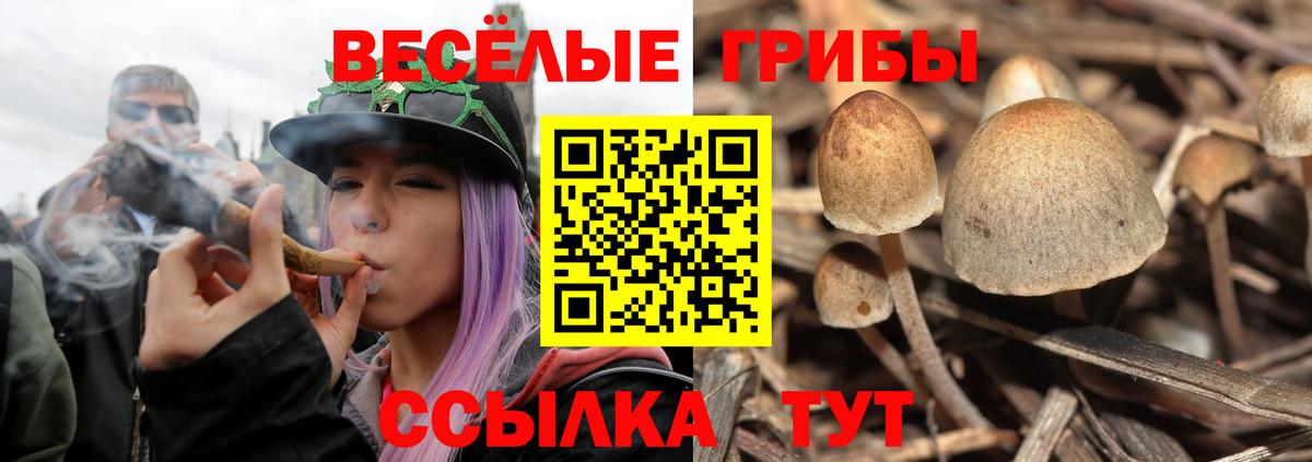 купить   Галлюциногенные грибы прущие грибы  Елец  Вход с VPN  Галлюциногенные грибы GOLDEN TEACHER 